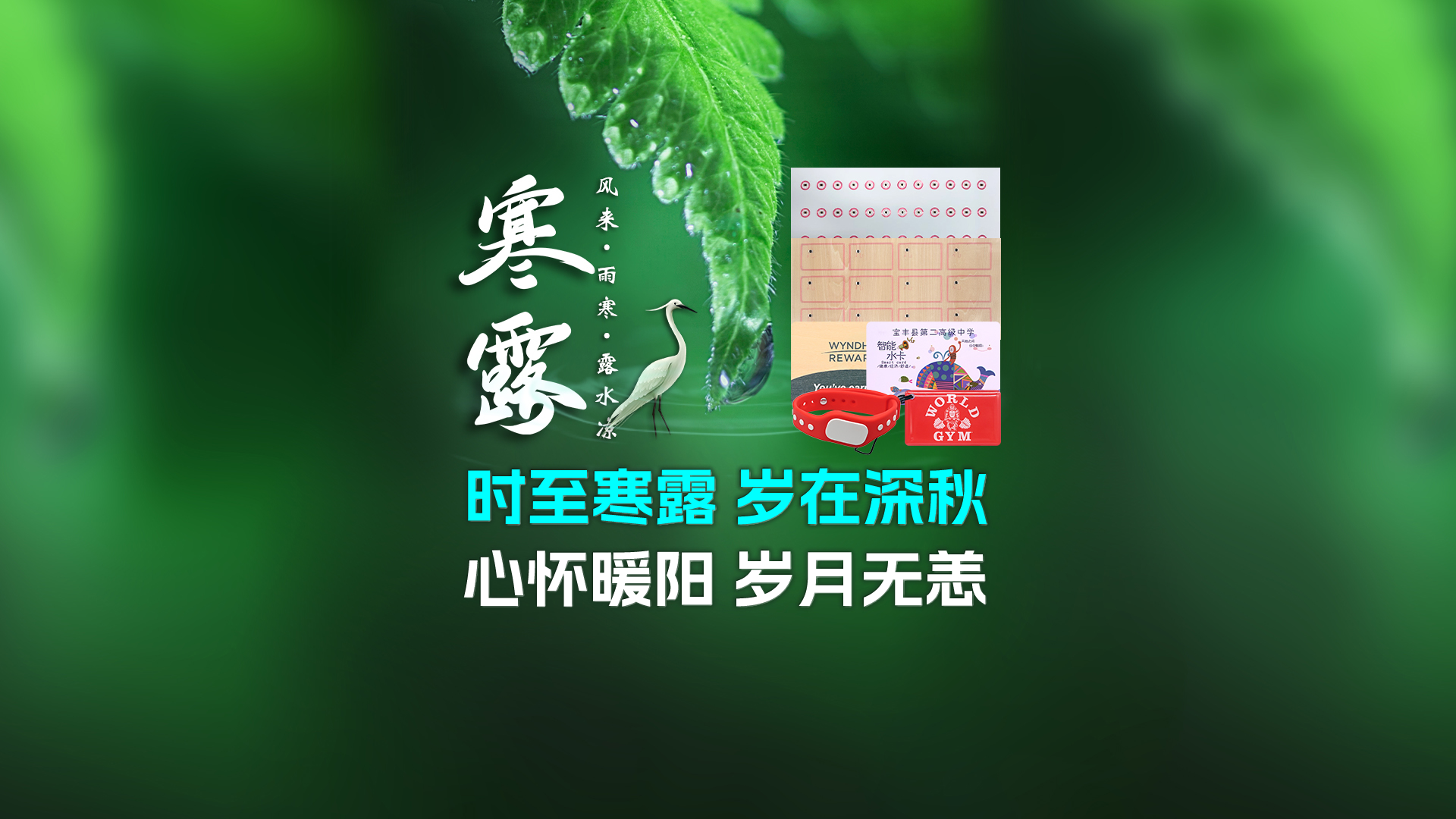 寒露至秋意濃，卡立方集團(tuán)攜RFID智能卡中料木卡腕帶伴您暖度深秋